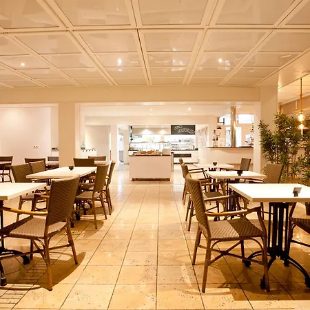 Fergus Style Palma (adults Only) 4*
